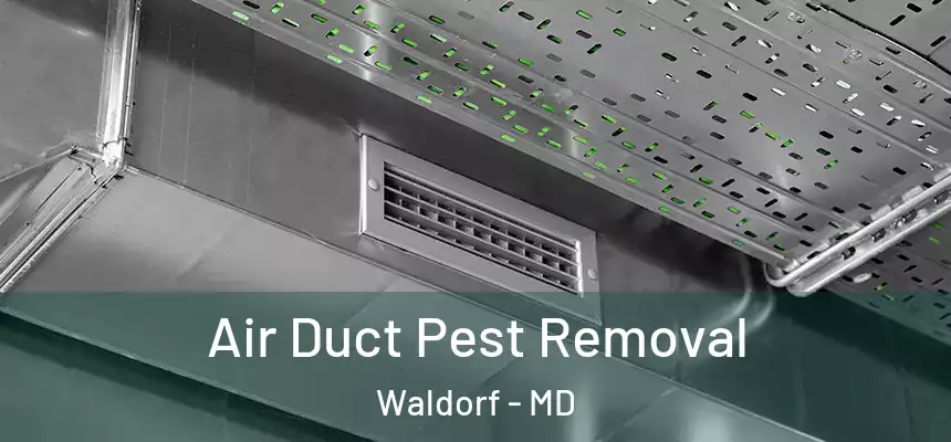 Air Duct Pest Removal Waldorf - MD