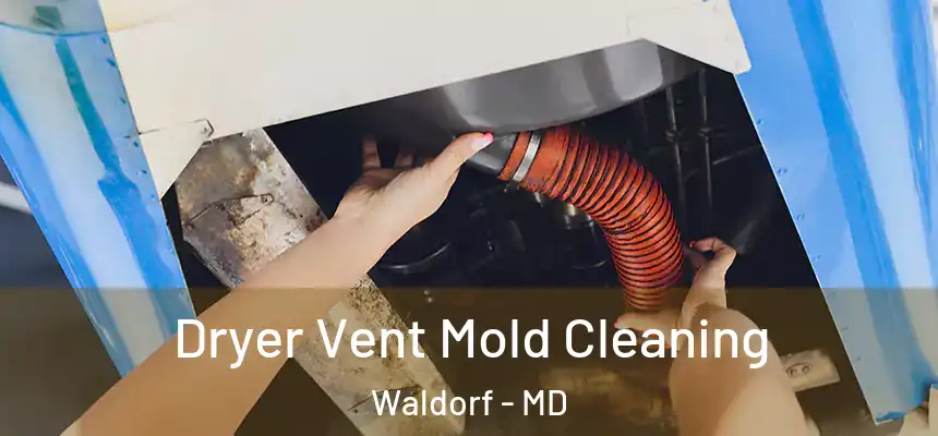 Dryer Vent Mold Cleaning Waldorf - MD
