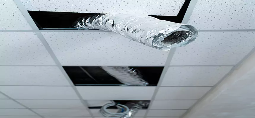 Affordable HVAC Sanitizing After Pest Removal in Waldorf