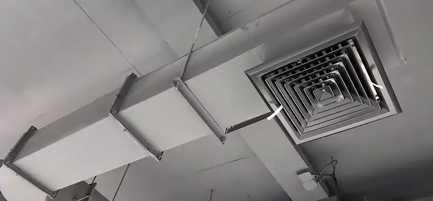 Our Pest Removal From Ducts Services in Waldorf, MD