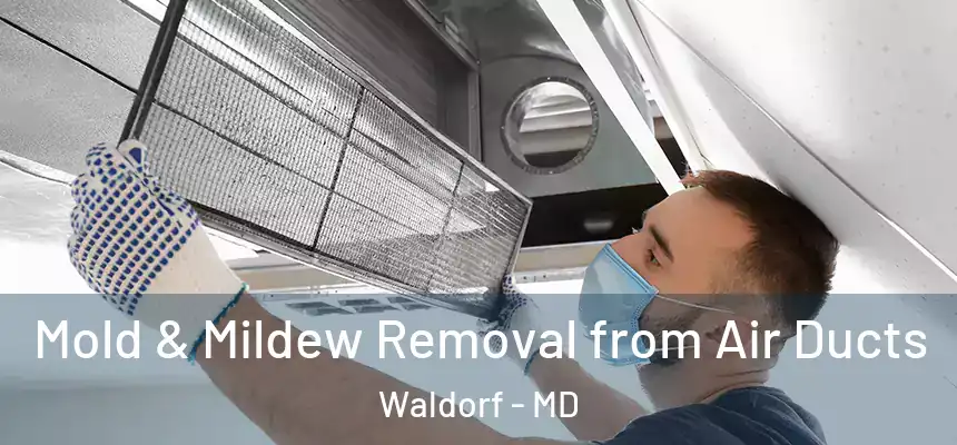 Mold & Mildew Removal from Air Ducts Waldorf - MD