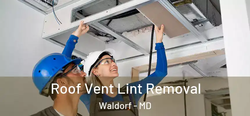 Roof Vent Lint Removal Waldorf - MD