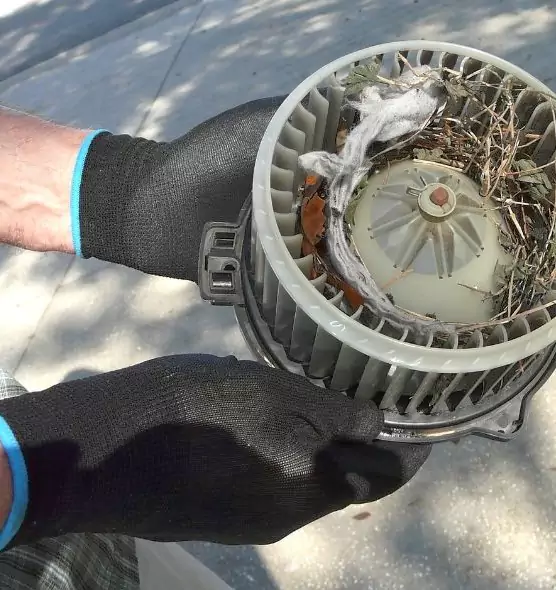 About Air Duct Mice Removal in Waldorf, MD