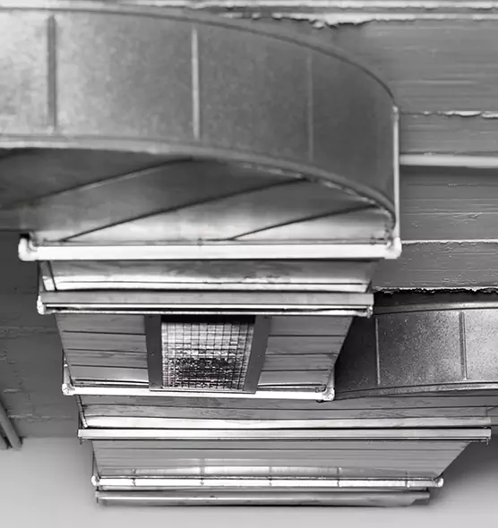 Professional Air Duct Pet Hair Removal in Waldorf, MD