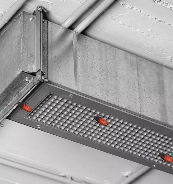 Affordable Insect Removal from Air Ducts in Waldorf, MD
