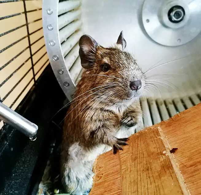 Why Homeowners & Businesses Trust Us Waldorf, MD